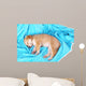 Little Puppy Sleeps Color