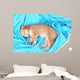 Little Puppy Sleeps Color