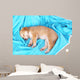 Little Puppy Sleeps Color
