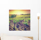 Vineyard Wall Mural