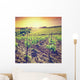 Vineyard Wall Mural