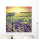 Vineyard Wall Mural