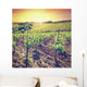 Vineyard Wall Mural