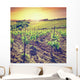 Vineyard Wall Mural