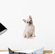 French Bulldog Wall Decal