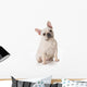 French Bulldog Wall Decal