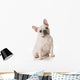 French Bulldog Wall Decal