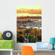 San Diego downtown Wall Mural