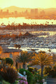 San Diego downtown Wall Mural
