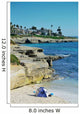 La Jolla Cove