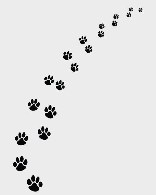 Black Footprints Dogs Turn