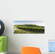 Vineyards in Tuscany Wall Mural