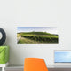 Vineyards in Tuscany Wall Mural