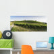 Vineyards in Tuscany Wall Mural