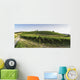 Vineyards in Tuscany Wall Mural