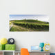 Vineyards in Tuscany Wall Mural