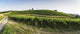 Vineyards in Tuscany Wall Mural