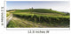 Vineyards in Tuscany Wall Mural