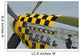 p-51 mustang nose art Wall Mural