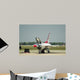 Usaf Thunderbirds F16 on Ground Wall Mural