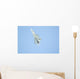 F22 Raptor Fighter on Full Afterburner Wall Mural
