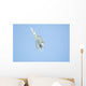 F22 Raptor Fighter on Full Afterburner Wall Mural