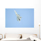 F22 Raptor Fighter on Full Afterburner Wall Mural