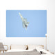 F22 Raptor Fighter on Full Afterburner Wall Mural