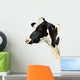 Cow White