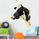 Cow White