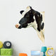 Cow White