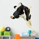 Cow White