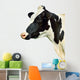 Cow White