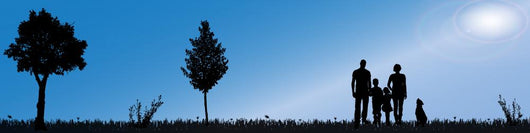 Vector silhouette of nature. Wall Mural