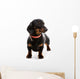 Puppy Dachshund Wall Decal