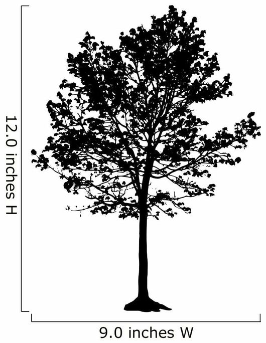 Tree Silhouette White Backgorund