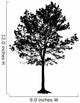 Tree Silhouette White Backgorund
