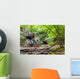 Waterfall Georgia Mountains near Wall Decal