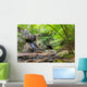 Waterfall Georgia Mountains near Wall Decal