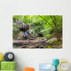 Waterfall Georgia Mountains near Wall Decal
