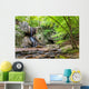 Waterfall Georgia Mountains near Wall Decal