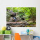 Waterfall Georgia Mountains near Wall Decal