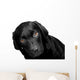 Lab - Bright Eyes Wall Decal