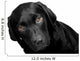 Lab - Bright Eyes Wall Decal