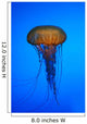 Jelly Fish in the Ocean Wall Mural