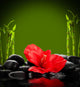 spa concept.  zen basalt stones Wall Mural