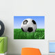 Soccer Ball Wall Mural