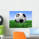 Soccer Ball Wall Mural