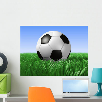 Soccer Ball Wall Mural shown on a wall