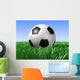 Soccer Ball Wall Mural